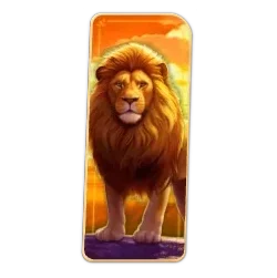 Lion
Safari